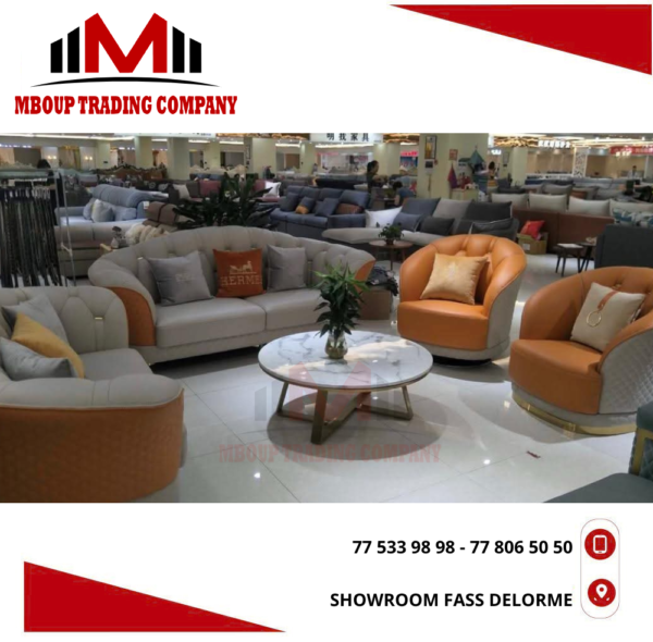 DESIGN (4) Cuir importer