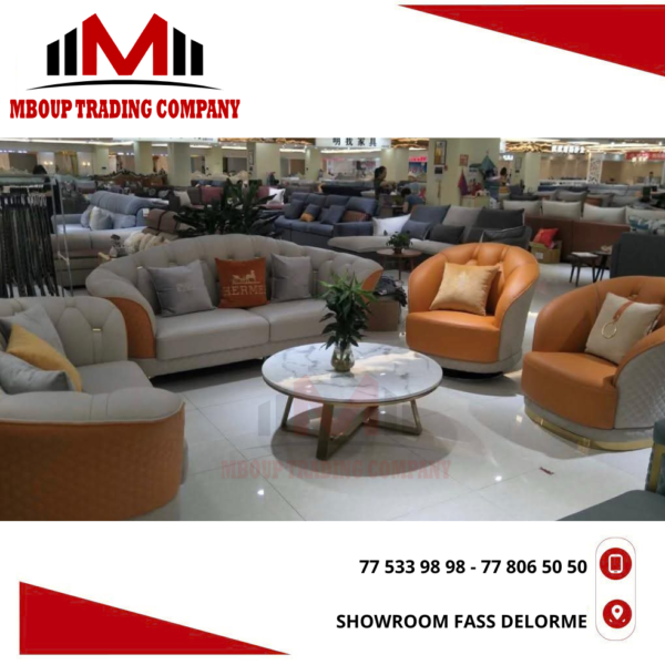 DESIGN (4) Cuir importer